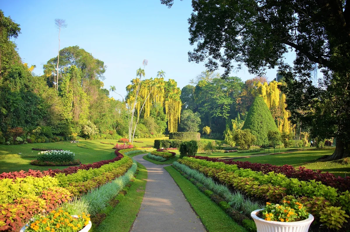 Royal Botanical Gardens Peradeniya - Ride Lanka Cabs