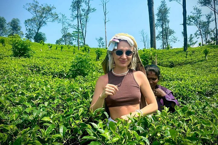 Tea Plantation and Estate Tour Nuwara Eliya - Ride Lanka Cabs