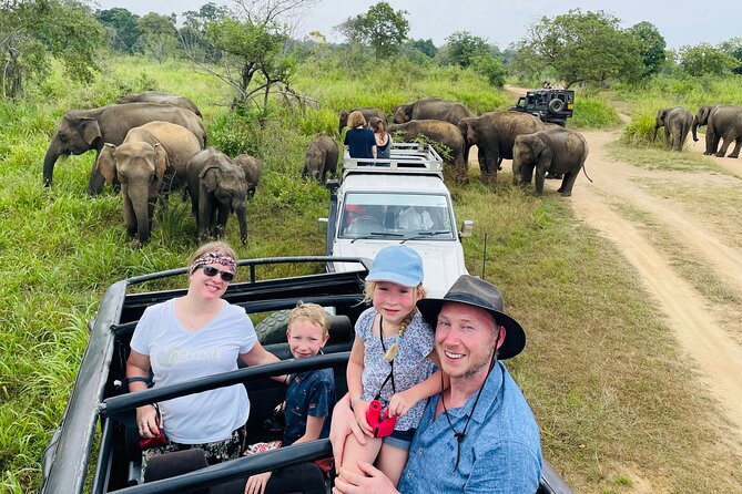 Minneriya National Park Safari - Ride Lanka Cabs